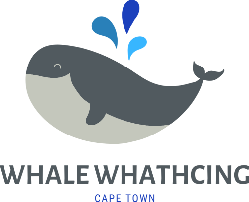 Cape Town Whale Watching